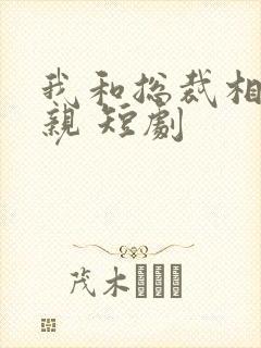 我和总裁相了个亲 短剧