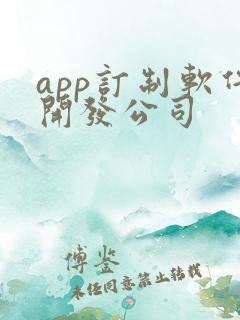 app订制软件开发公司