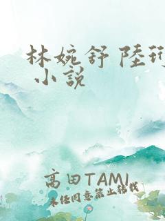 林婉舒 陆珩宇 小说