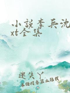 小说李兵沈思txt全集