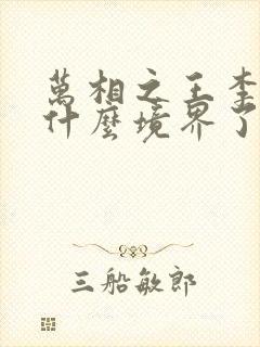 万相之王李洛到什么境界了