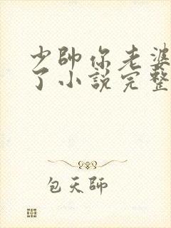 少帅你老婆又跑了小说完整免费