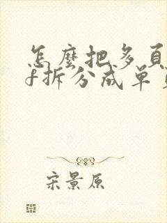 怎么把多页pdf拆分成单页pdf