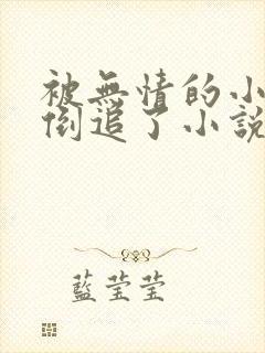 被无情的小师弟倒追了小说