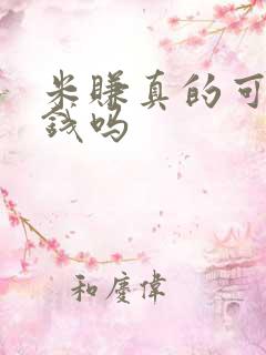 米赚真的可以赚钱吗