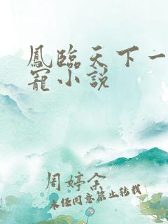 凤临天下一后千宠小说