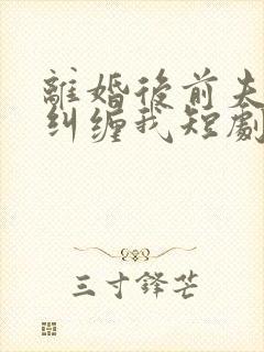 离婚后前夫总想纠缠我短剧演员表