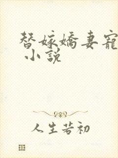 替嫁娇妻宠上瘾 小说