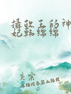 摄政王的神医狂妃韩绵绵