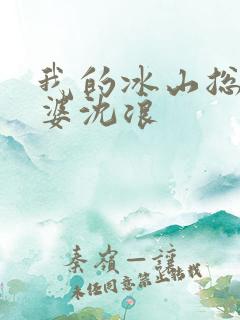 我的冰山总裁老婆沈浪