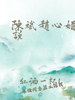 陈斌赵心媚的小说