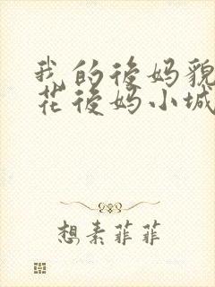 我的后妈貌美如花后妈小城何生李健小说