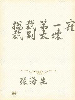 总裁第一宠婚总裁别太坏