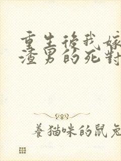 重生后我嫁给了渣男的死对头无弹窗