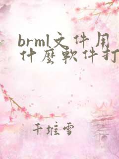 brml文件用什么软件打开