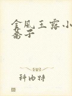 金风玉露小说白荞子