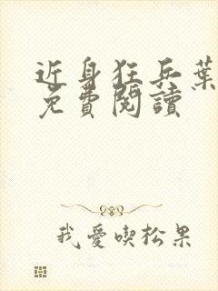 近身狂兵叶军浪免费阅读