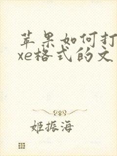 苹果如何打开exe格式的文件