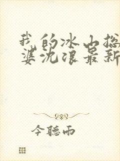 我的冰山总裁老婆沈浪最新章节