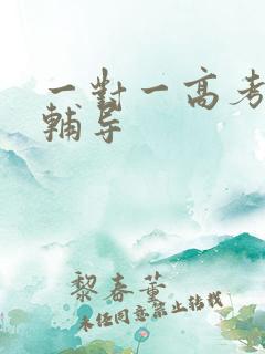 一对一高考英语辅导