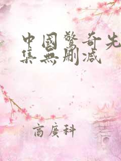 中国惊奇先生全集无删减