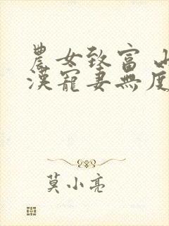 农女致富 山里汉宠妻无度txt