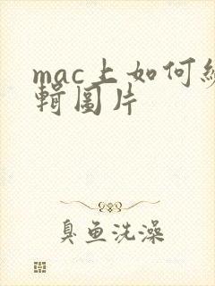mac上如何编辑图片