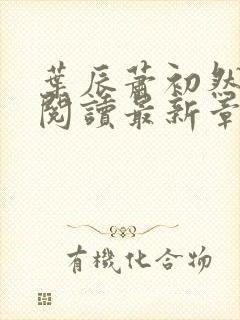 叶辰萧初然免费阅读最新章节在线