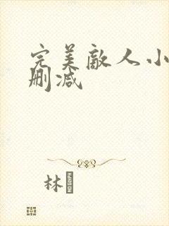 完美敌人小说无删减