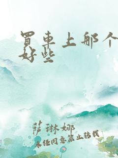 买车上那个平台好些