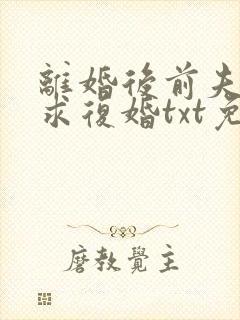 离婚后前夫哭着求复婚txt免费下载