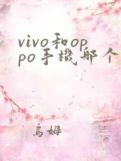vivo和oppo手机哪个拍照好一点