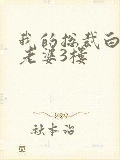 我的总裁白富美老婆3楼