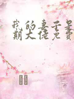 我的妻子是大乘期大佬免费看