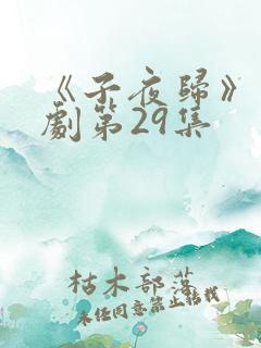 《子夜归》电视剧第29集