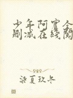 少年阿宾全文无删减在线阅读