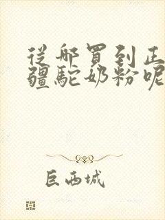 从哪买到正宗新疆驼奶粉呢