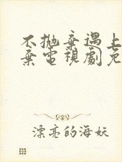 不抛弃遇上不放弃电视剧免费观看