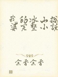 我的冰山总裁老婆完整小说
