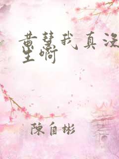 黄慧我真没想重生啊