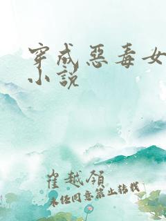 穿成恶毒女配的小说