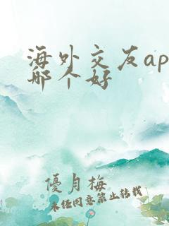 海外交友app哪个好
