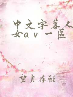 中文字幕人妻熟女aⅴ一区