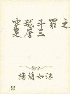 穿越斗罗之我弟是唐三