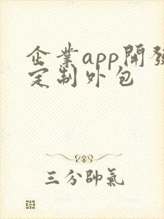 企业app开发定制外包