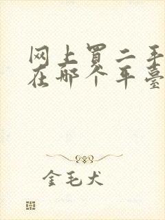 网上买二手手机在哪个平台买比较准确