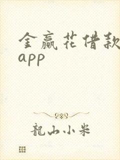 金赢花借款下载app