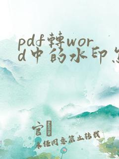 pdf转word中的水印怎么去除
