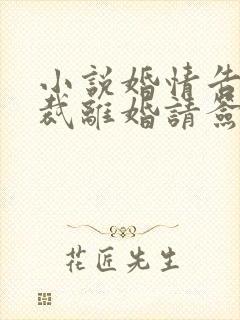 小说婚情告急总裁离婚请签字全文