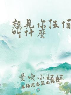 想见你伍佰的歌叫什么